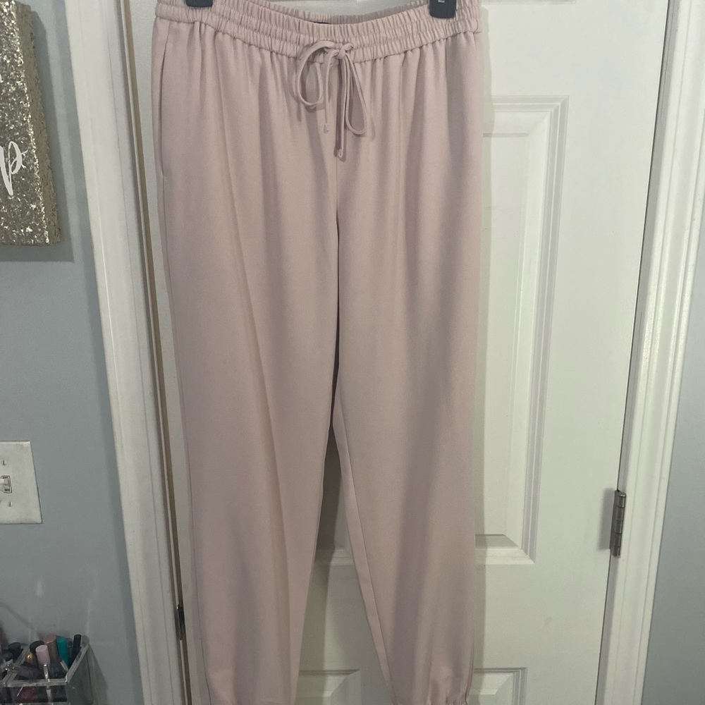 Express dress pant joggers